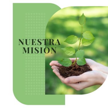 mision