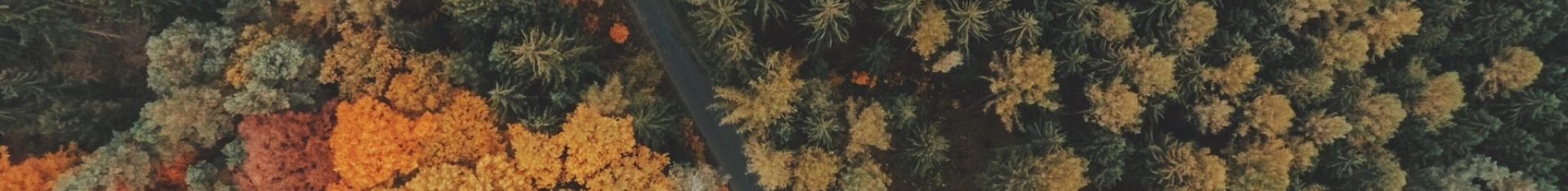 qtq80-j5IEQe